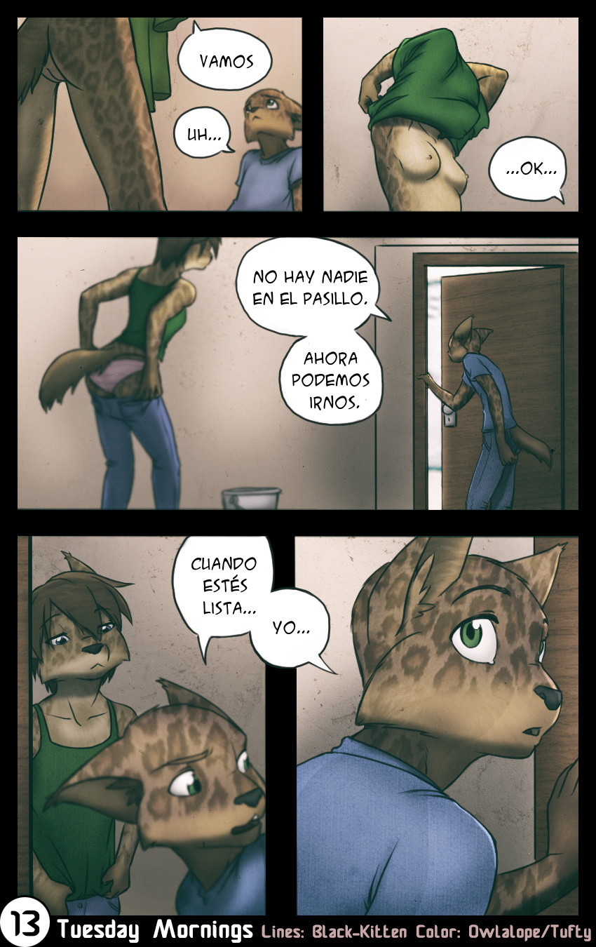 13 Page 13