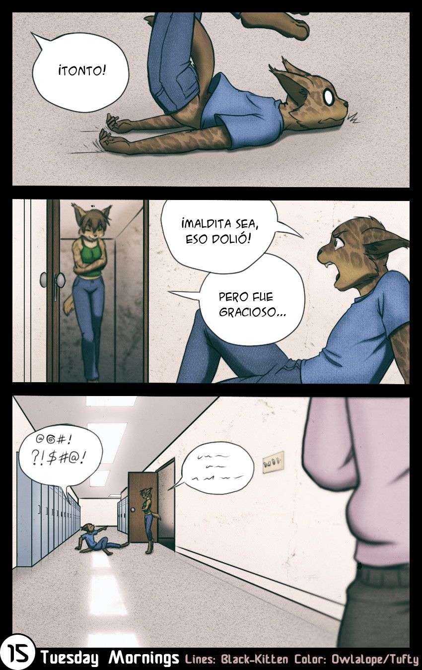 15 Page 15