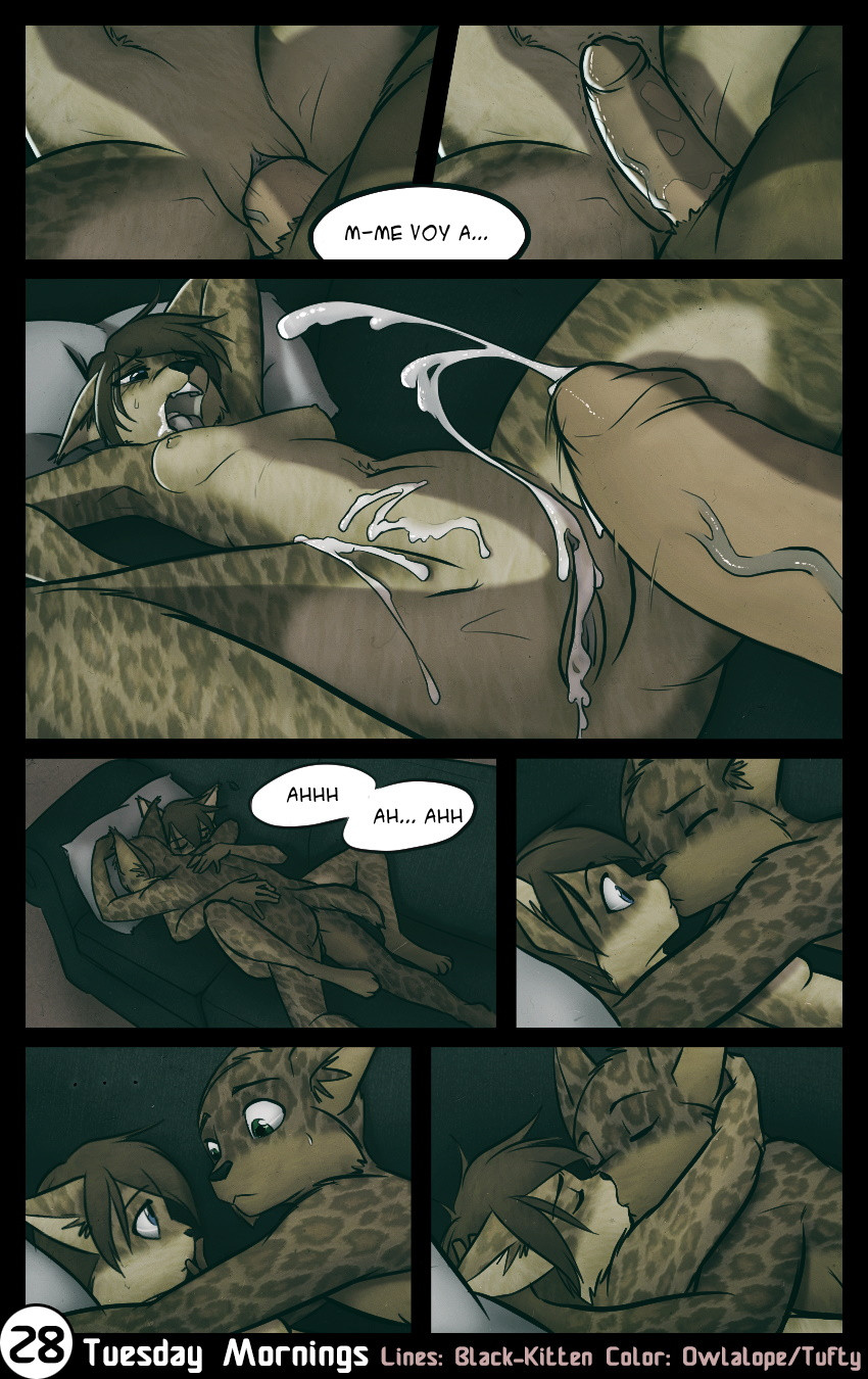 28 Page 28