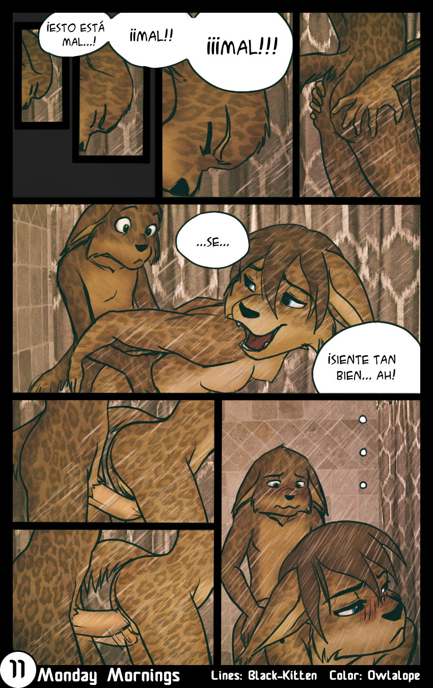 12 Page 11